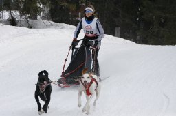 San Bernardino 2011